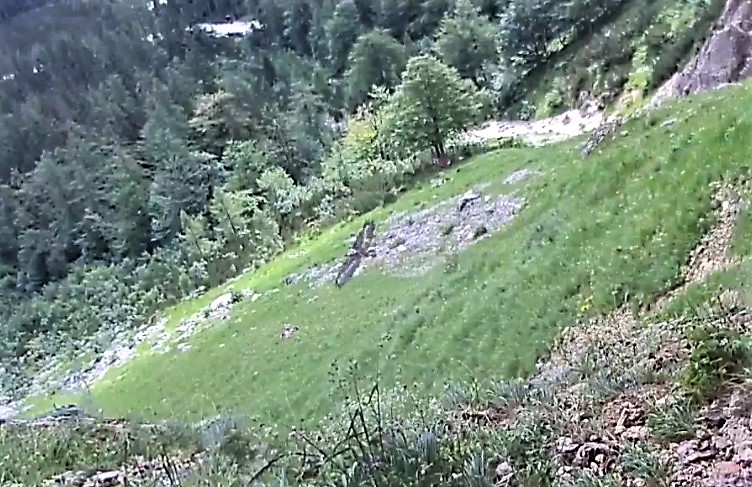 Dagmar fliegt an der Nische vorbei |© Screenshot LBV Webcam