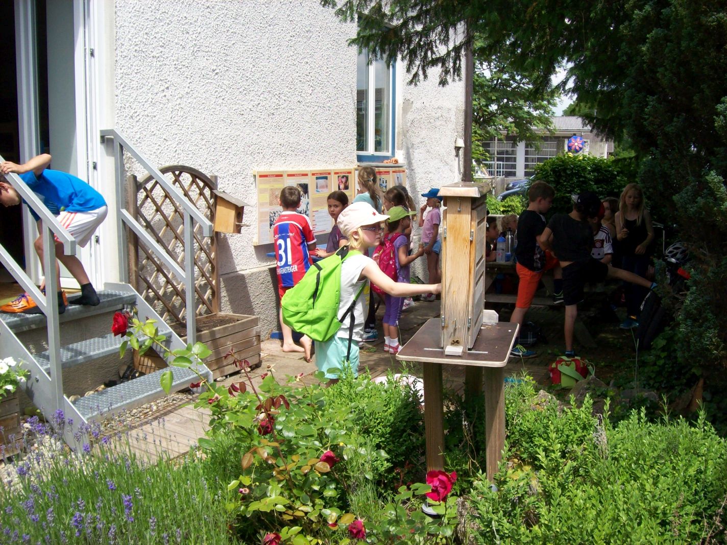 Schulgarten-Wettbewerb 2016 Montessorischule Inning Schaukasten | © Montessorischule