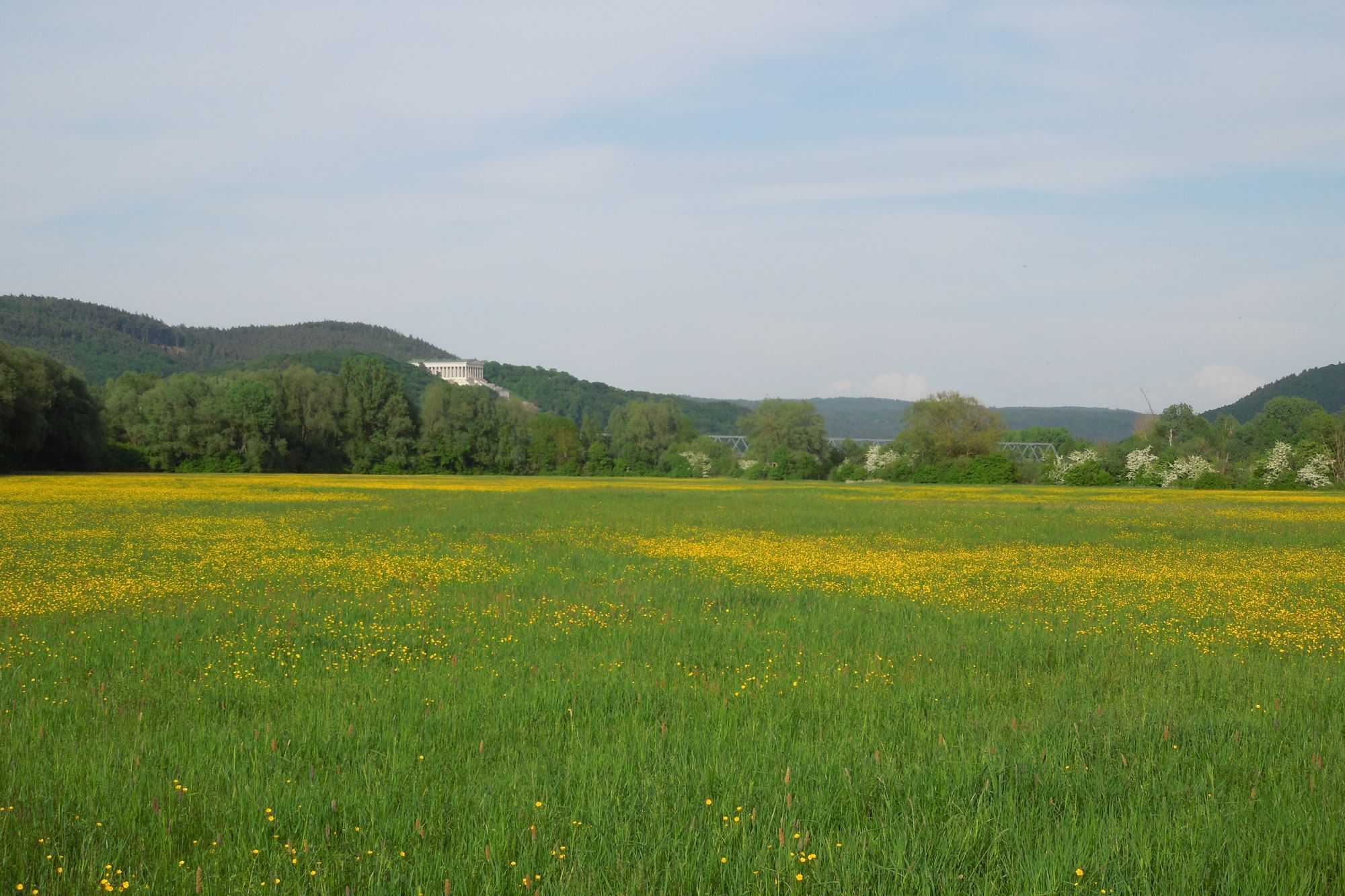 Donaustauf Blick Thiergarten Scheuchenberg | © Christoph Bauer