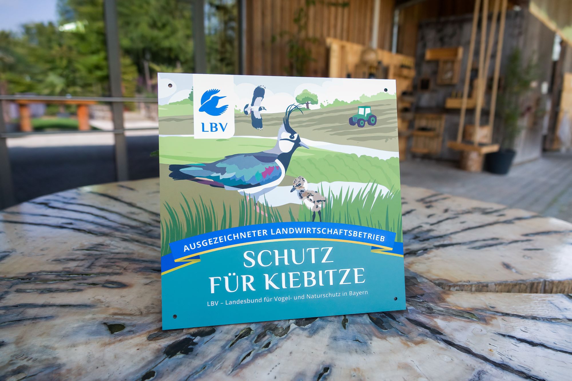 Plakette Schutz für Kiebitze | © Nicole Friedrich